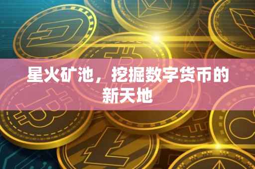 星火矿池，挖掘数字货币的新天地