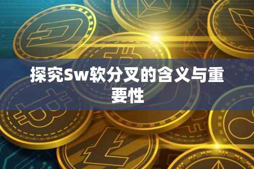 探究Sw软分叉的含义与重要性