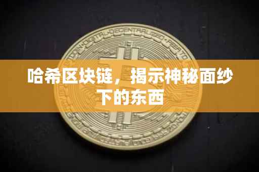 哈希区块链，揭示神秘面纱下的东西