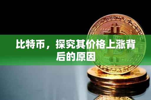 比特币，探究其价格上涨背后的原因
