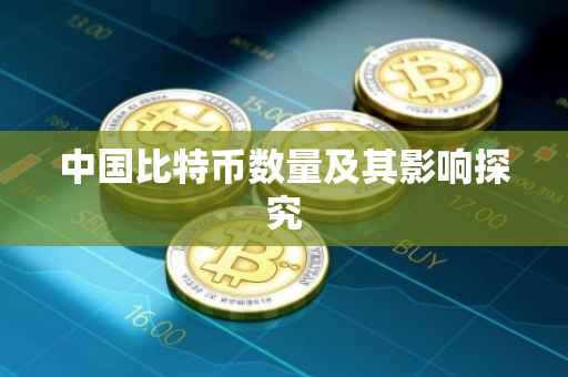中国比特币数量及其影响探究