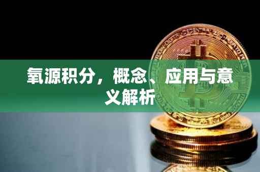 氧源积分，概念、应用与意义解析