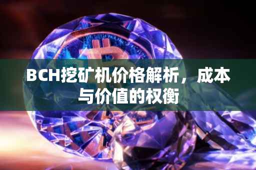 BCH挖矿机价格解析，成本与价值的权衡