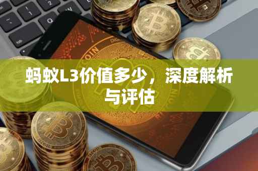 蚂蚁L3价值多少，深度解析与评估