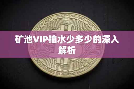 矿池VIP抽水少多少的深入解析