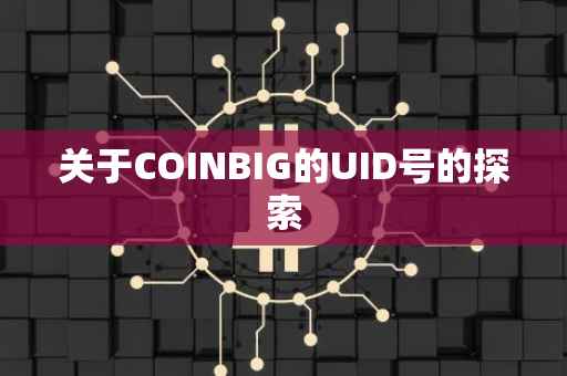 关于COINBIG的UID号的探索