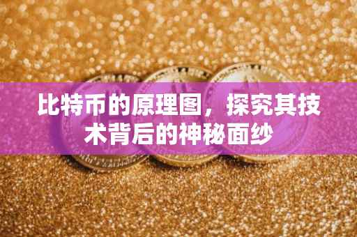 比特币的原理图，探究其技术背后的神秘面纱