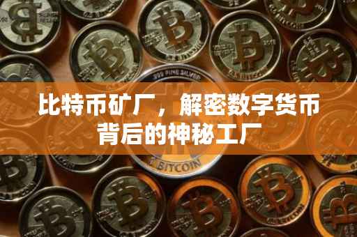 比特币矿厂，解密数字货币背后的神秘工厂