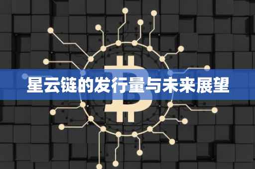 星云链的发行量与未来展望