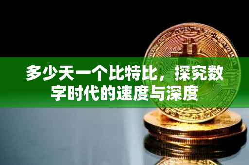 多少天一个比特比，探究数字时代的速度与深度