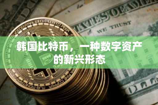 韩国比特币，一种数字资产的新兴形态