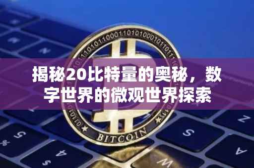 揭秘20比特量的奥秘，数字世界的微观世界探索