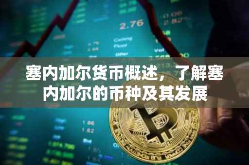 塞内加尔货币概述，了解塞内加尔的币种及其发展