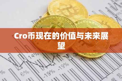 Cro币现在的价值与未来展望