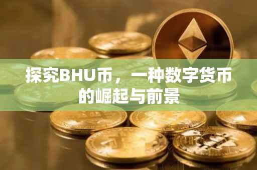 探究BHU币，一种数字货币的崛起与前景