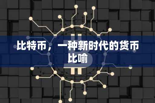 比特币，一种新时代的货币比喻