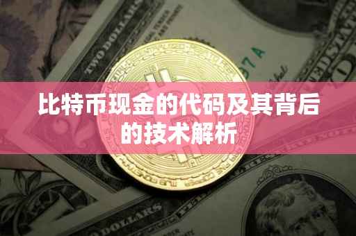 比特币现金的代码及其背后的技术解析