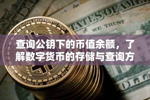 查询公钥下的币值余额，了解数字货币的存储与查询方式