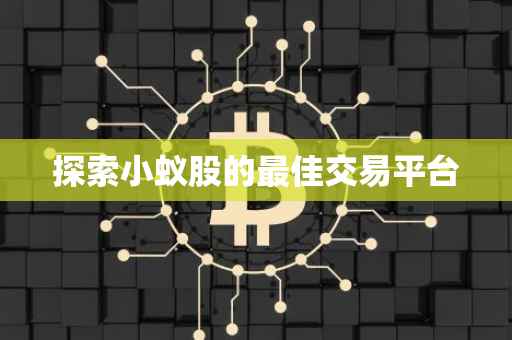 探索小蚁股的最佳交易平台