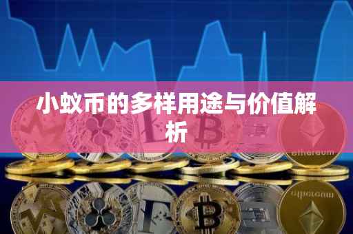 小蚁币的多样用途与价值解析