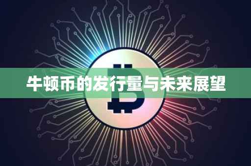 牛顿币的发行量与未来展望