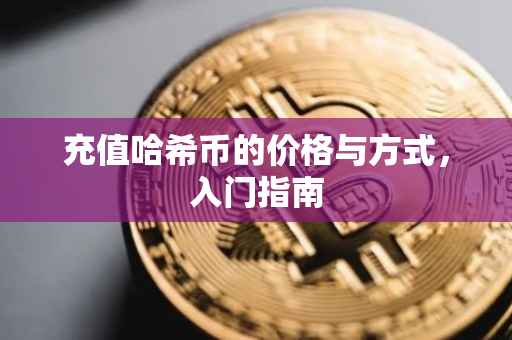 充值哈希币的价格与方式，入门指南