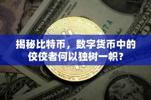 揭秘比特币，数字货币中的佼佼者何以独树一帜？