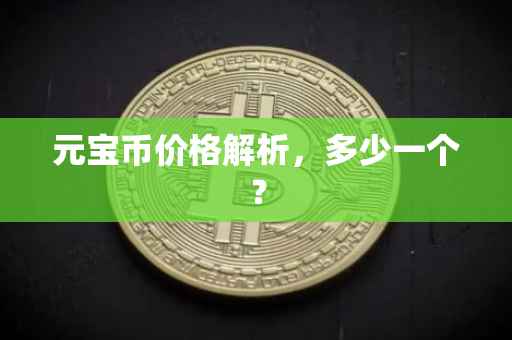 元宝币价格解析，多少一个？