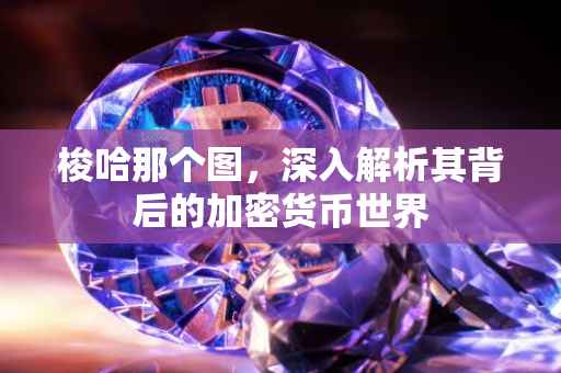 梭哈那个图，深入解析其背后的加密货币世界