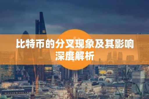 比特币的分叉现象及其影响深度解析
