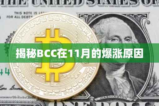 揭秘BCC在11月的爆涨原因