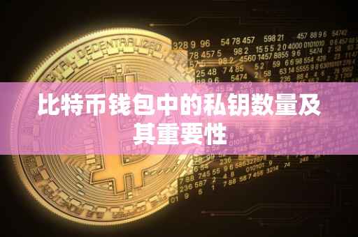 比特币钱包中的私钥数量及其重要性