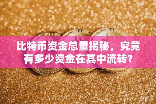 比特币资金总量揭秘，究竟有多少资金在其中流转？