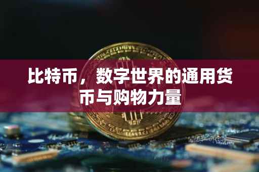 比特币，数字世界的通用货币与购物力量