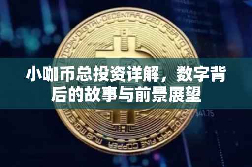 小咖币总投资详解，数字背后的故事与前景展望