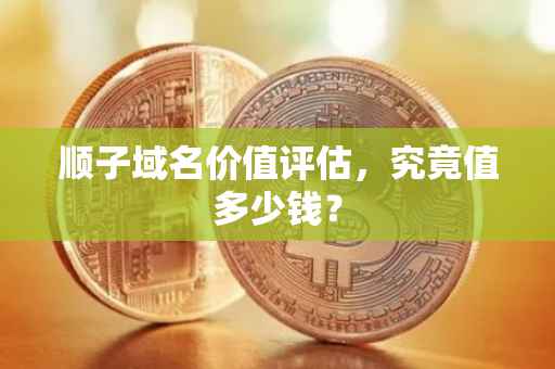 顺子域名价值评估，究竟值多少钱？