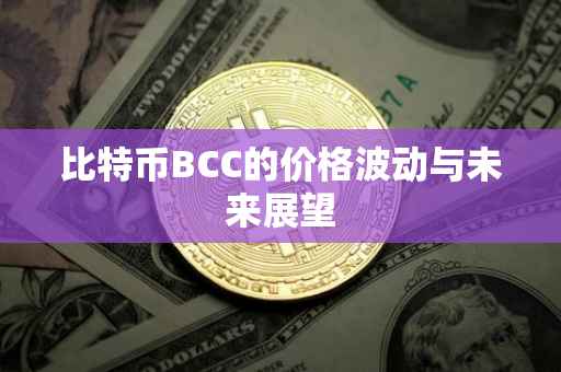 比特币BCC的价格波动与未来展望