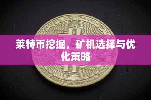 莱特币挖掘，矿机选择与优化策略