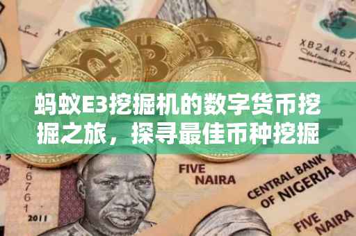 蚂蚁E3挖掘机的数字货币挖掘之旅，探寻最佳币种挖掘策略
