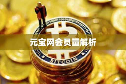 元宝网会员量解析