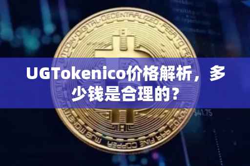 UGTokenico价格解析，多少钱是合理的？