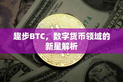 趣步BTC，数字货币领域的新星解析