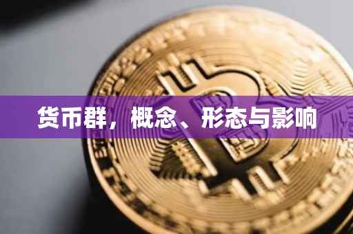 货币群，概念、形态与影响