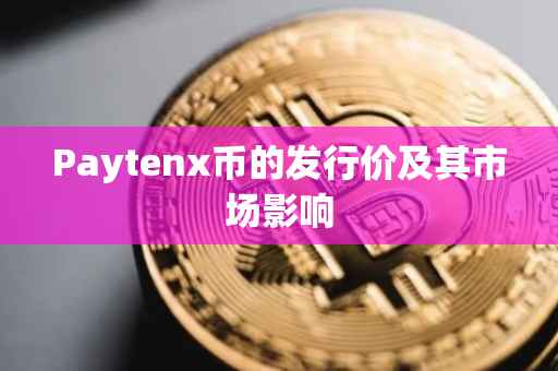 Paytenx币的发行价及其市场影响