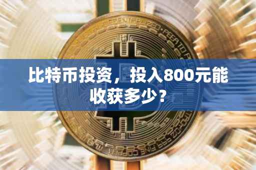 比特币投资，投入800元能收获多少？