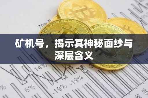 矿机号，揭示其神秘面纱与深层含义