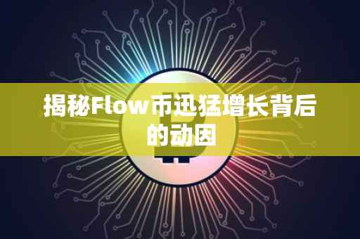 揭秘Flow币迅猛增长背后的动因