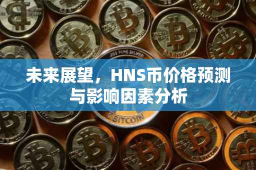 未来展望，HNS币价格预测与影响因素分析