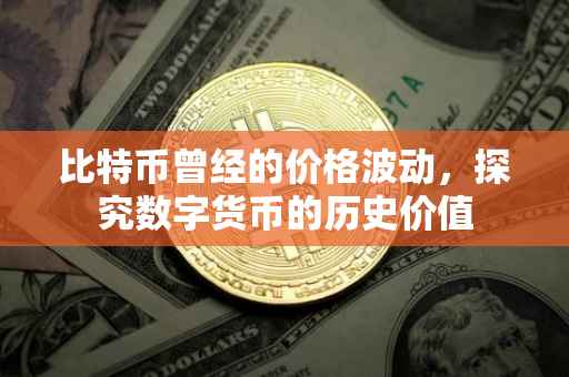 比特币曾经的价格波动，探究数字货币的历史价值