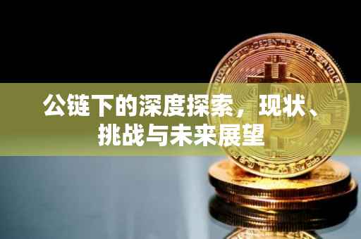 公链下的深度探索，现状、挑战与未来展望